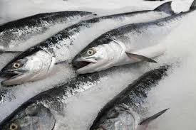 Fresh Frozen Fish